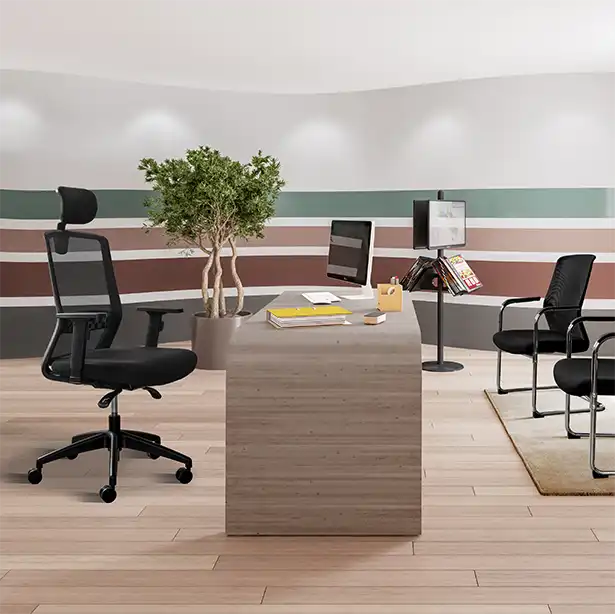 Photo de la collection SCOTT basculant